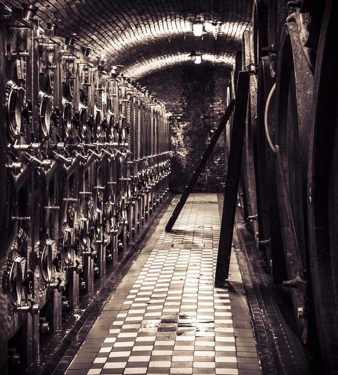 Penzion Vino Hruska Blatnička Exterior foto